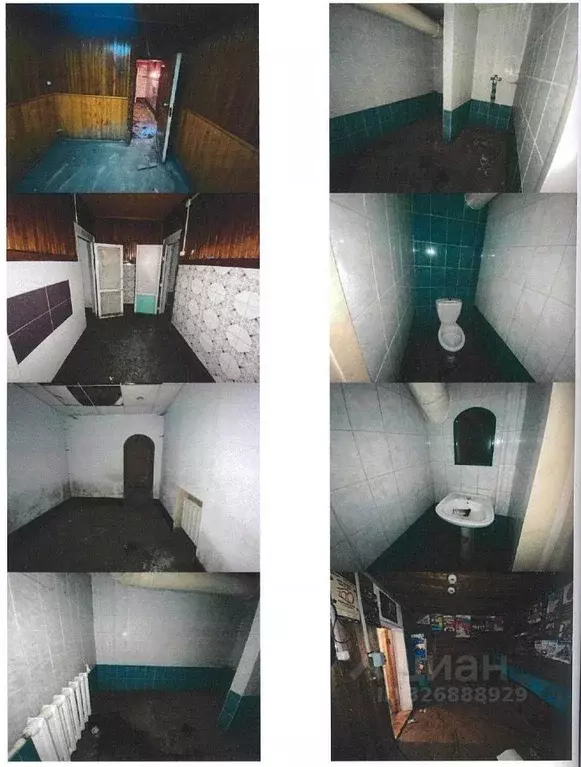 Помещение свободного назначения в Алтайский край, Барнаул просп. ... - Фото 2