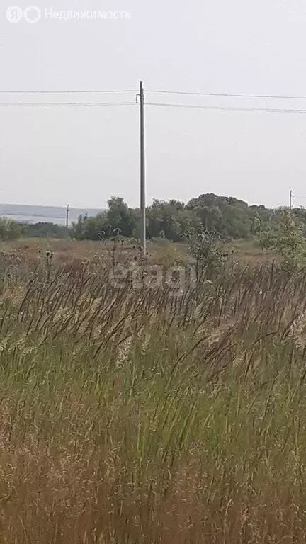 Участок в село Луговое, улица Шамукова (15 м) - Фото 1