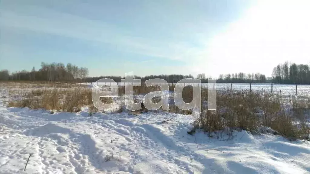 Участок в Тюменская область, Нижнетавдинский район, д. Малые Велижаны  ... - Фото 0