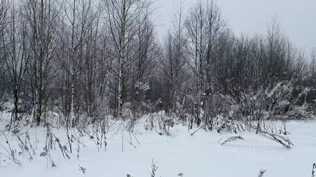 Участок в Тверская область, Калязинский муниципальный округ, д. ... - Фото 1