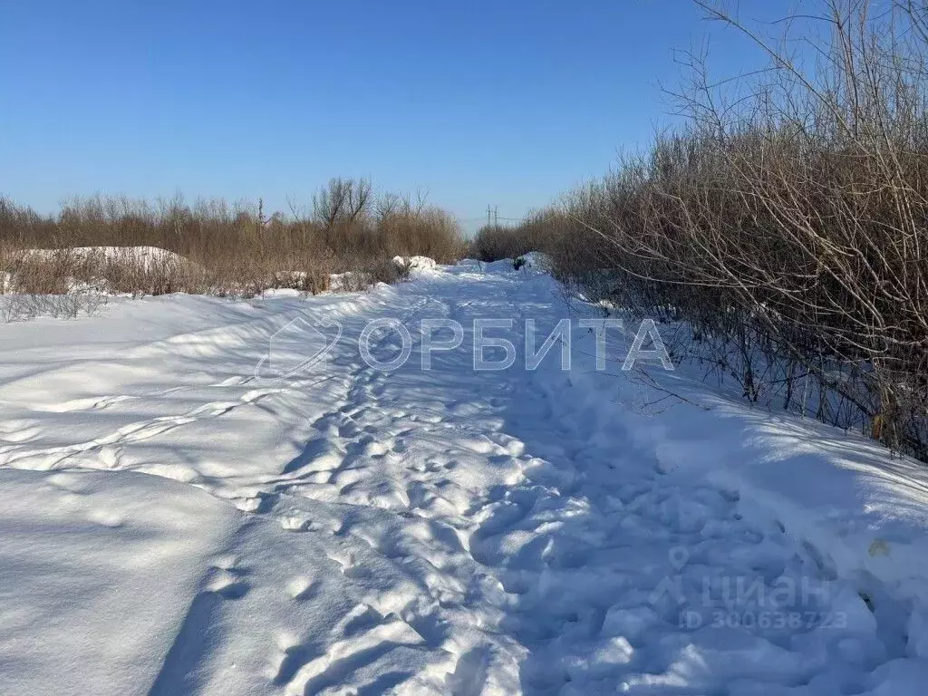 Участок в Тюменская область, Тюмень ул. Петра Бабичева (10.0 сот.) - Фото 1