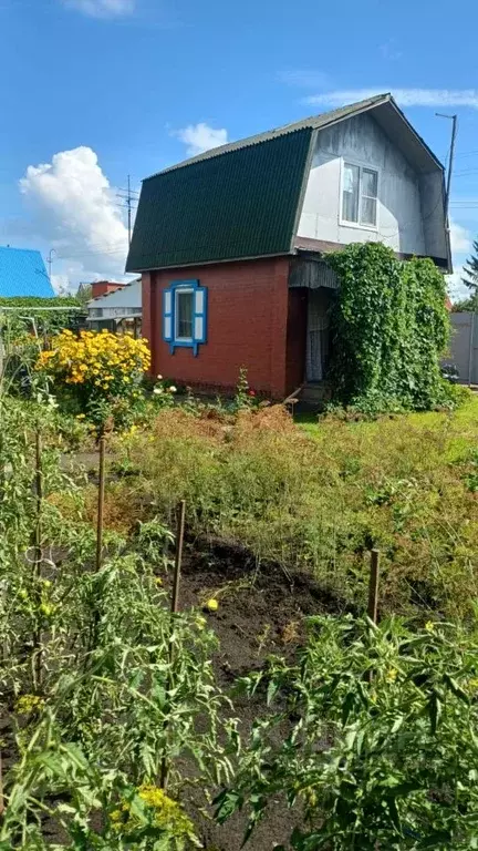 Дом в Омская область, Омск СОСН Моторостроитель тер.,  (50 м) - Фото 0