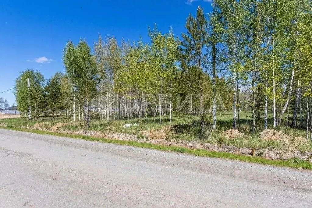 Участок в Тюменская область, Тюменский муниципальный округ, с. ... - Фото 2