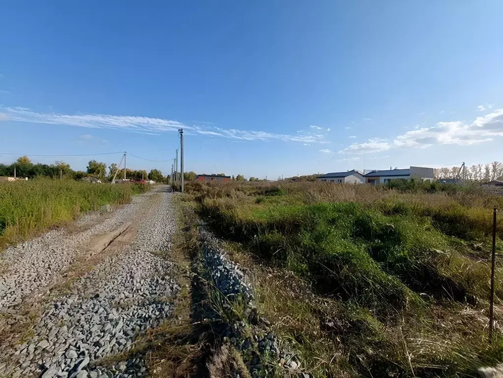 Участок в Новосибирская область, Новосибирский район, Морской ... - Фото 2