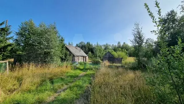 Дом 45 м на участке 12,5 сот. - Фото 0