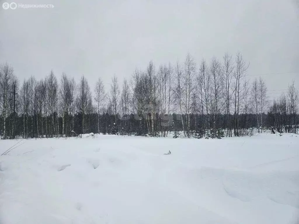 Участок в Ковров, Отрадная улица (10.5 м) - Фото 1