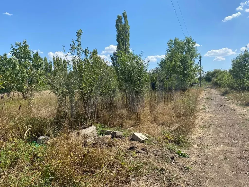 Участок 4 сот. (СНТ, ДНП) - Фото 1