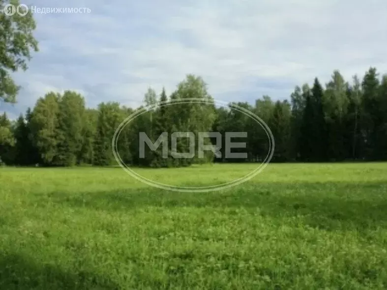 Участок в Калининградская область, Гурьевский муниципальный округ, ... - Фото 2