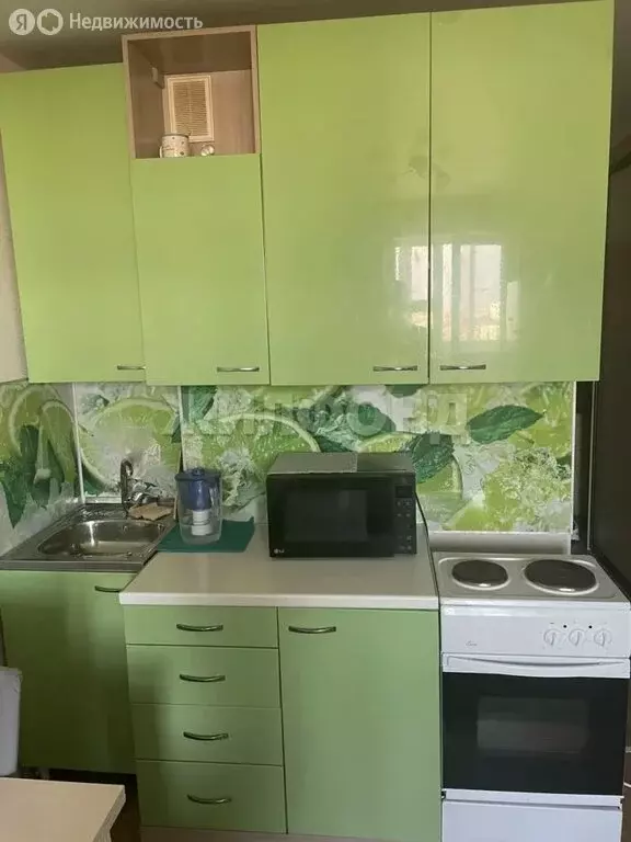 Квартира-студия: Новосибирск, улица Виктора Уса, 15 (19.6 м) - Фото 2