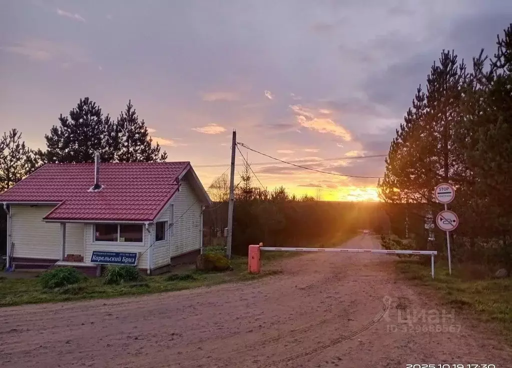 Участок в Ленинградская область, Выборгский район, Рощинское городское ... - Фото 1