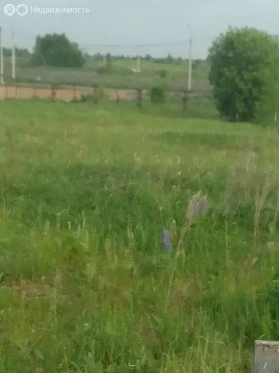 Участок в Кольчугино, Вишнёвая улица, 11 (11 м) - Фото 2