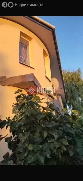 Дом в Мирное, Лесная улица, 7 (282 м) - Фото 2