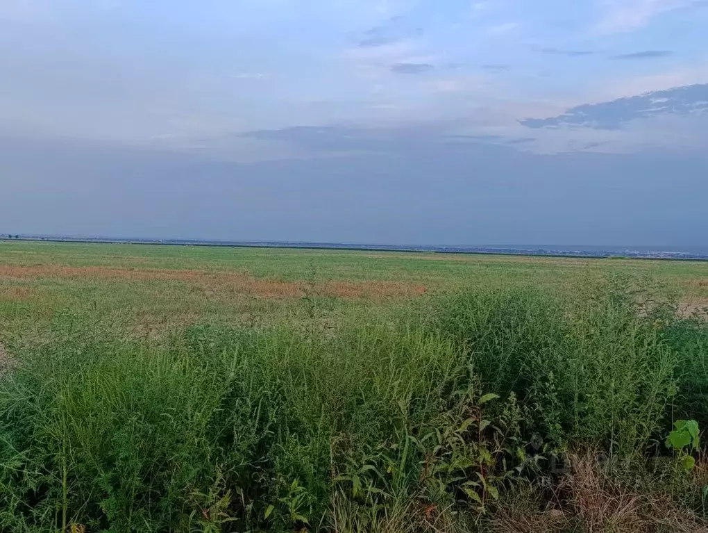 Участок в Кабардино-Балкария, Чегем Южный мкр,  (4.0 га.) - Фото 1
