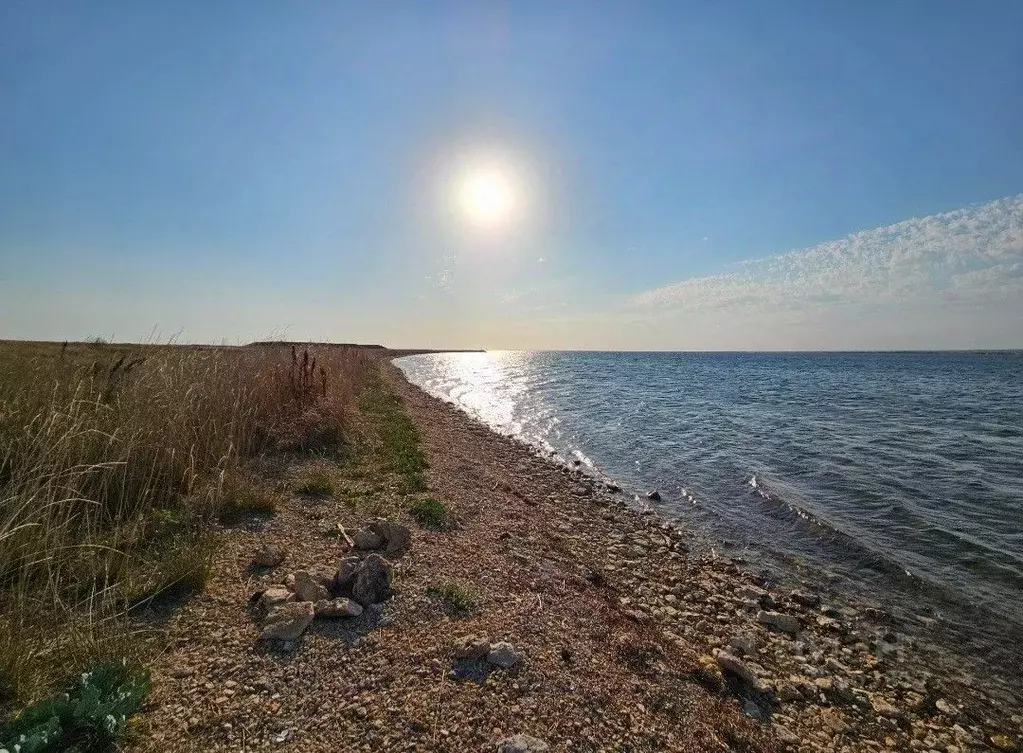 Участок в Крым, Сакский район, с. Штормовое  (1.0 га.) - Фото 1