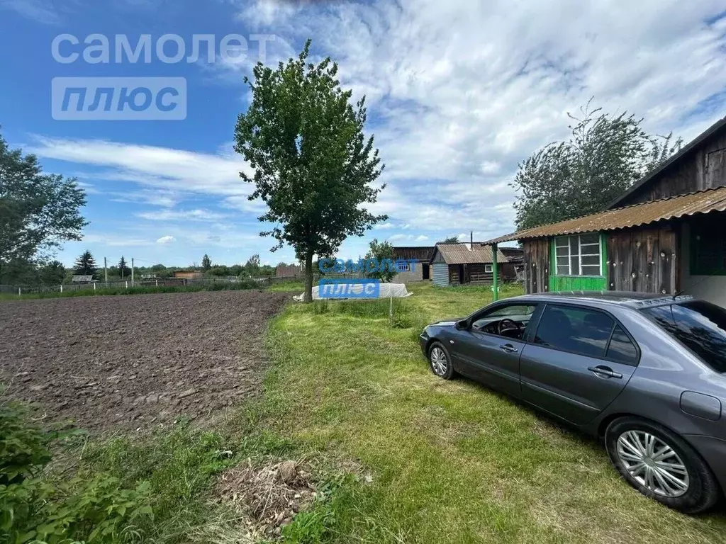 Дом в Алтайский край, Смоленский район, с. Иконниково Березовая ул., 6 ... - Фото 0