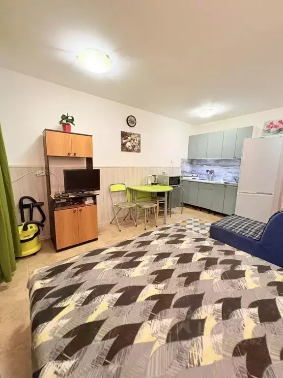 Студия Москва пос. Совхоза Крекшино, ул. Южная, 18А (24.0 м) - Фото 2