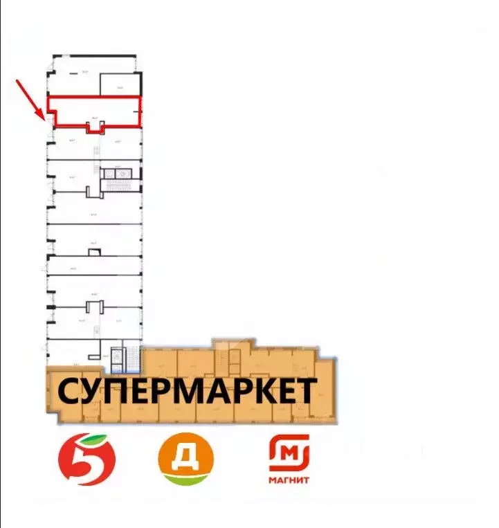 Торговая площадь в Московская область, Химки Клязьма-Старбеево мкр, ... - Фото 2