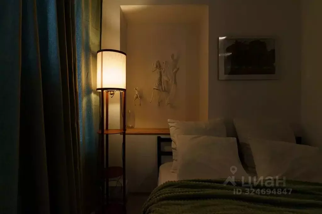 Студия Санкт-Петербург Боровая ул., 36-38 (20.0 м) - Фото 2