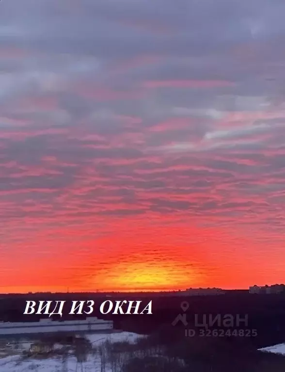 1-к кв. Московская область, Красногорск городской округ, Путилково пгт ... - Фото 1