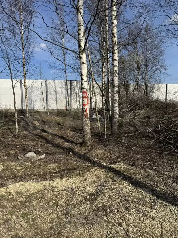 Участок 8 сот. (СНТ, ДНП) - Фото 1