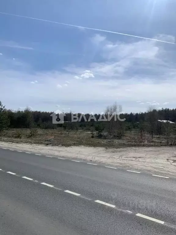 Участок в Владимирская область, Судогодский район, Лавровское ... - Фото 1