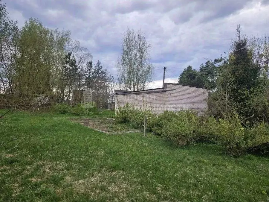Участок в Новгородская область, Новгородский район, Савинское с/пос, ... - Фото 2