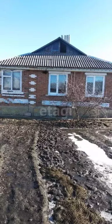 Дом в Белгородская область, Новооскольский муниципальный округ, с. ... - Фото 1