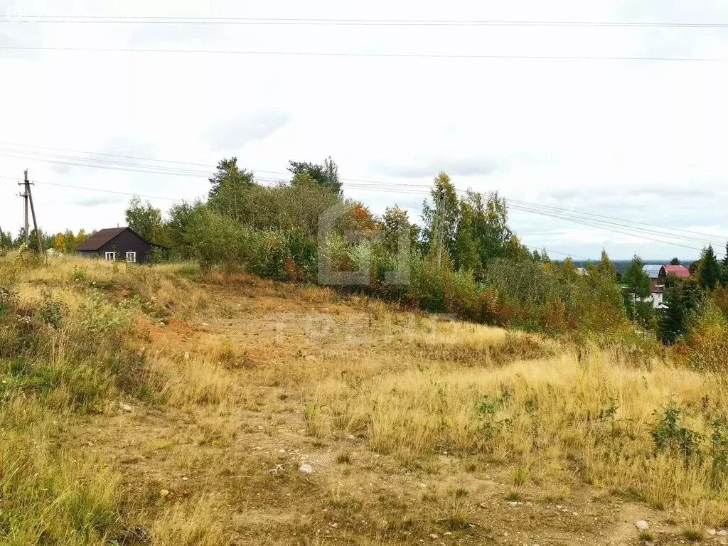 Участок в Сосновское сельское поселение, садоводческое некоммерческое ... - Фото 1