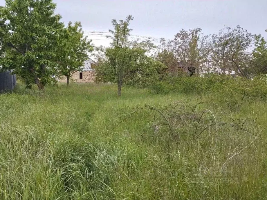 Участок в Крым, Симферопольский район, Чистенское с/пос, Родничок СПК ... - Фото 1