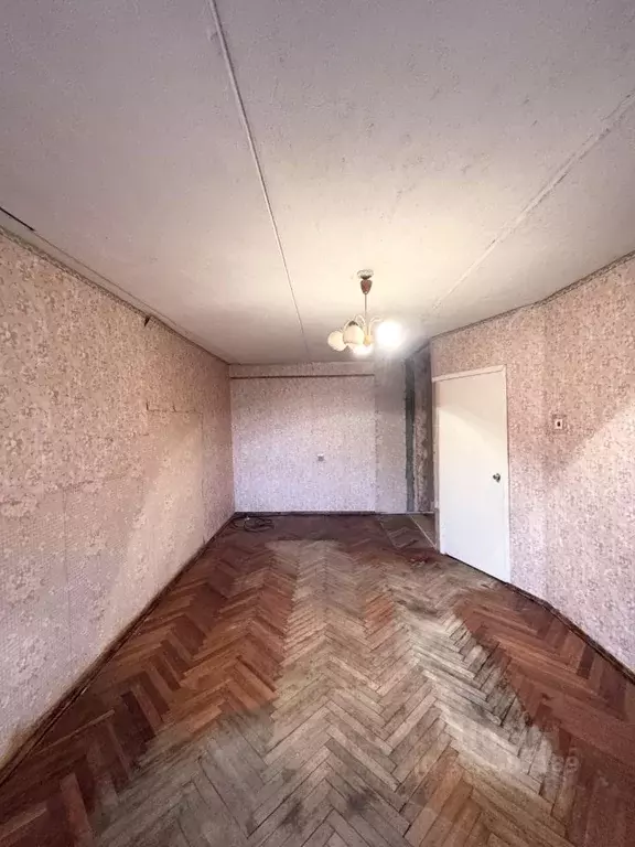 1-к кв. Санкт-Петербург, Санкт-Петербург, Петергоф Чебышевская ул., ... - Фото 2