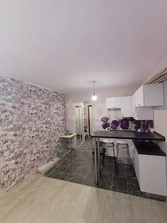 Студия Кировская область, Киров Заводская ул., 4 (23.3 м) - Фото 2