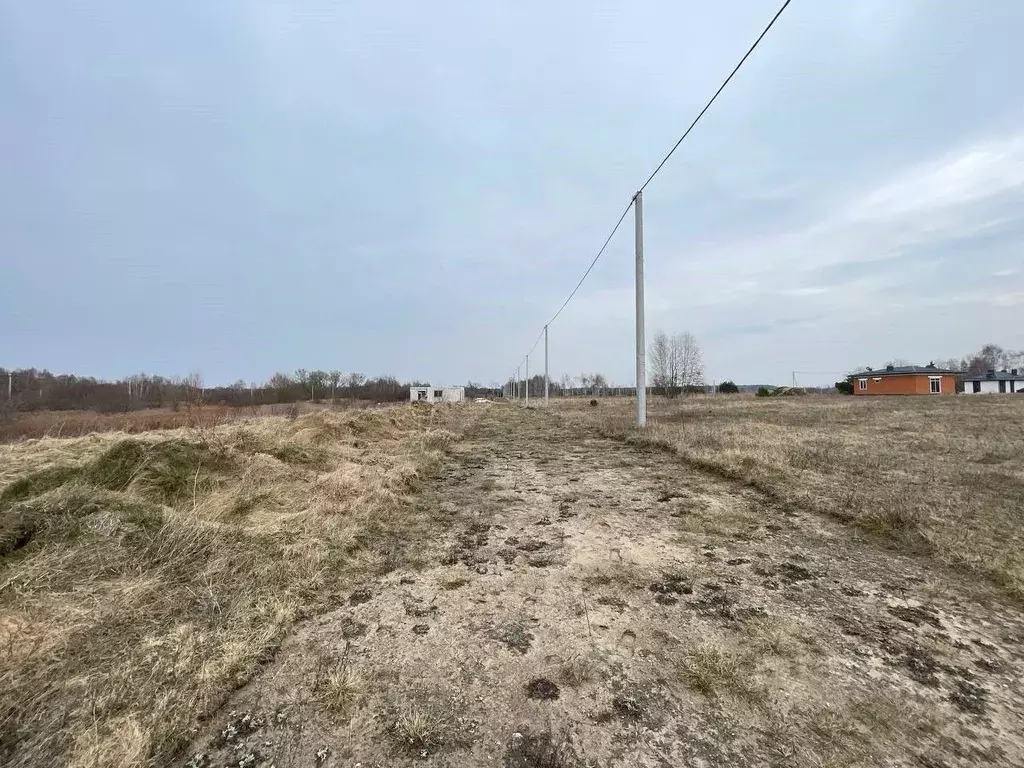 Участок в Калининградская область, Багратионовский муниципальный ... - Фото 2