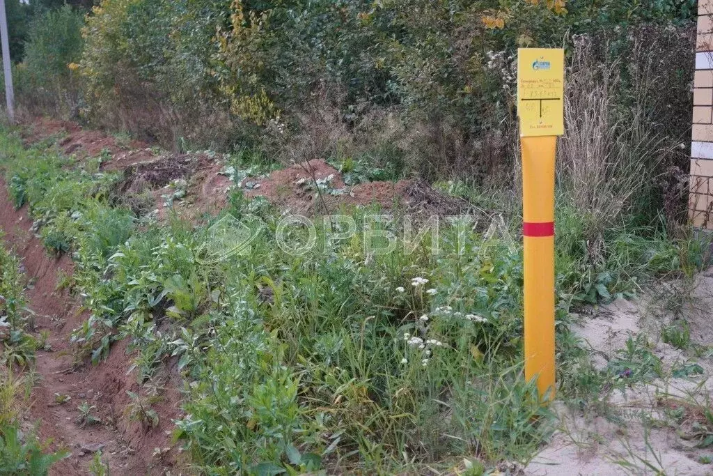 Участок в Тюменская область, Тюменский район, с. Перевалово, ... - Фото 2