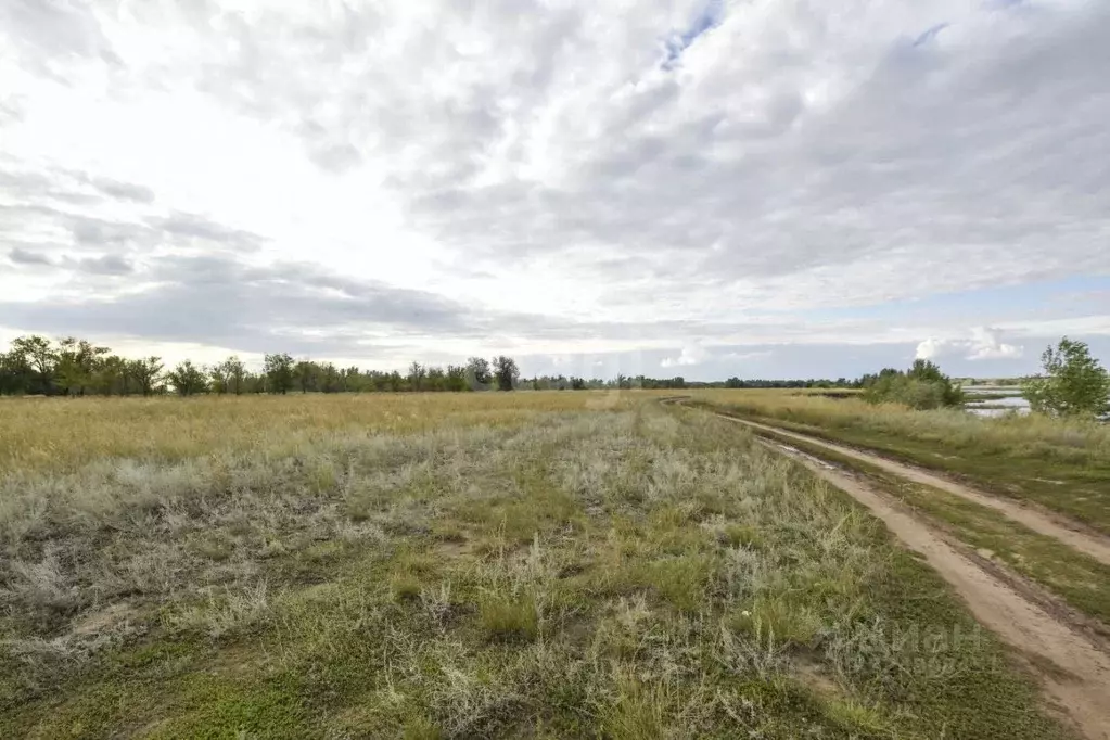 Участок в Оренбургская область, Илекский район, с. Кардаилово  (100.0 ... - Фото 1