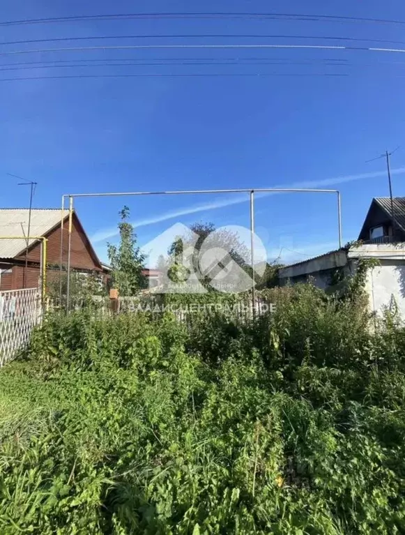 Участок в Новосибирская область, Новосибирский район, Станционный ... - Фото 1