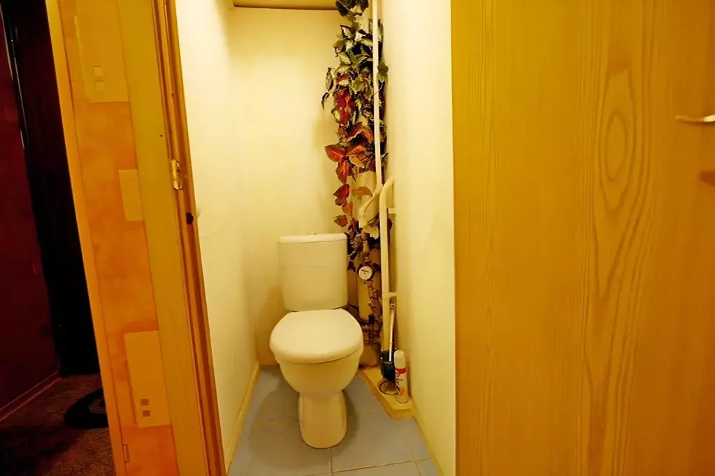 2-к кв. Санкт-Петербург Камышовая ул., 20 (57.0 м) - Фото 2