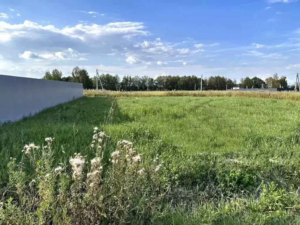 Участок в Московская область, Домодедово городской округ, д. Ивановка  ... - Фото 0