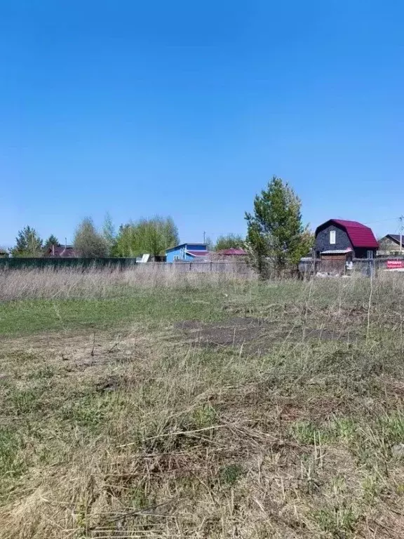 Участок в Новосибирская область, Бердск Луч СНТ, 62 (12.0 сот.) - Фото 1