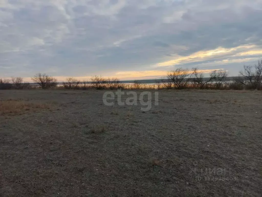 Участок в Крым, Сакский район, с. Суворовское  (200.0 сот.) - Фото 1