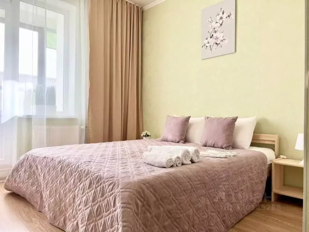 1-к кв. Санкт-Петербург Коломяжский просп., 15к2 (25.0 м) - Фото 1