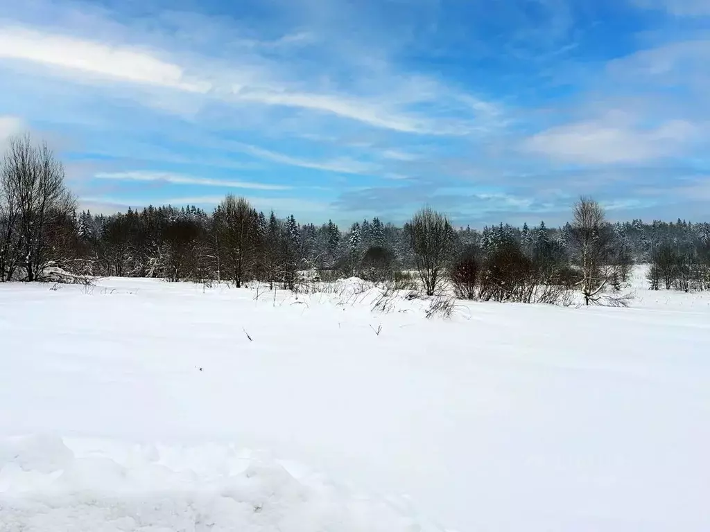Участок в Московская область, Дмитровский муниципальный округ, Ерыково ... - Фото 1