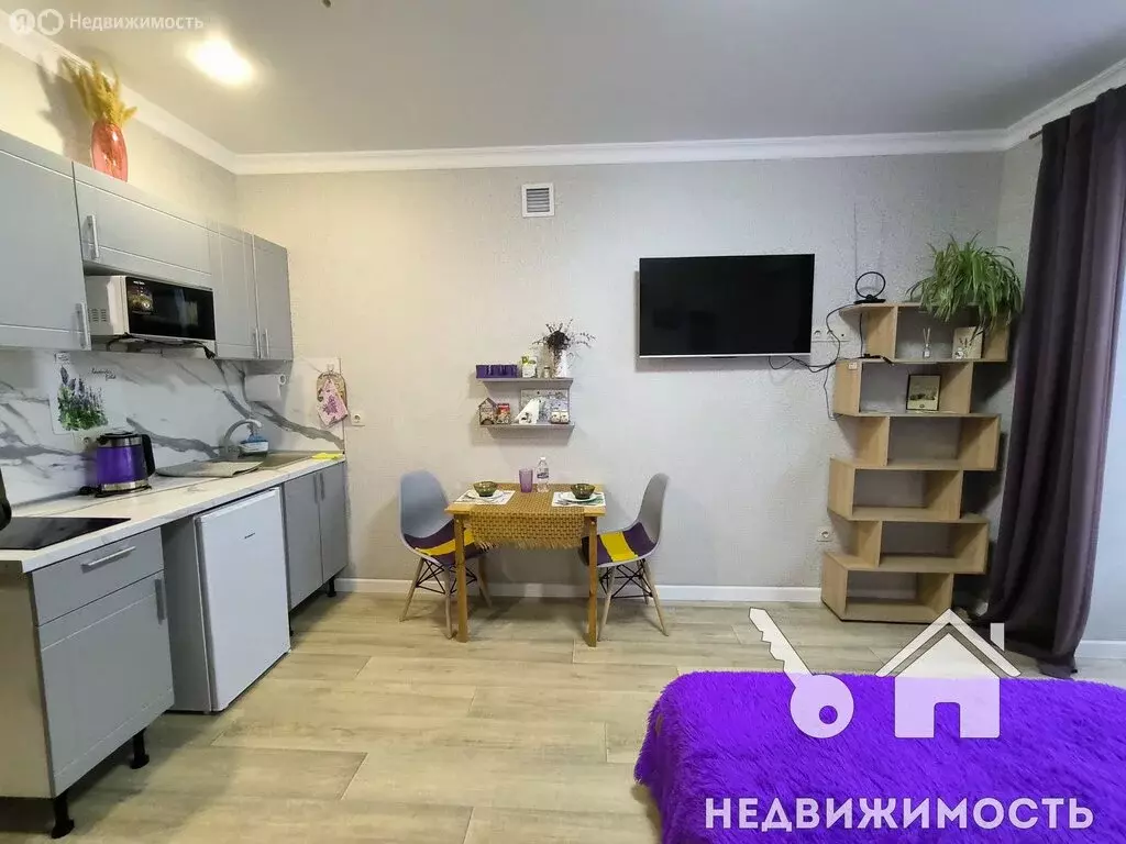 Квартира-студия: Горячий Ключ, улица Солнечный Берег, 10А (25 м) - Фото 2