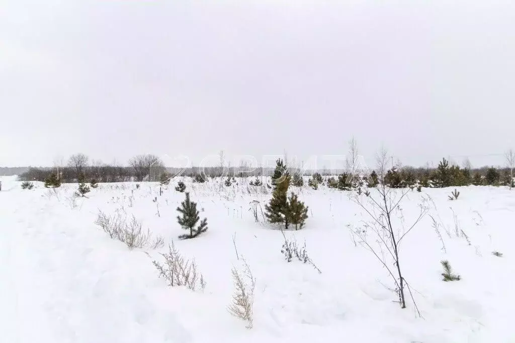 Участок в Тюменская область, Тюменский район, д. Малиновка ул. ... - Фото 0