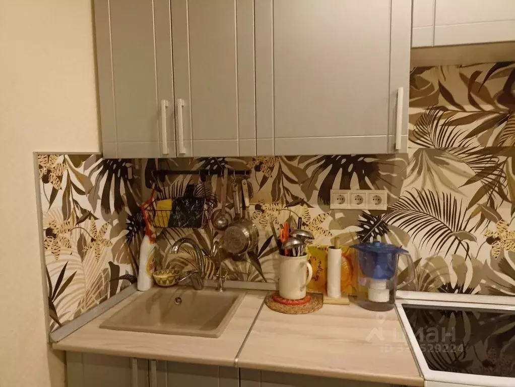 Студия Московская область, Одинцово Северная ул., 5к2 (25.0 м) - Фото 2