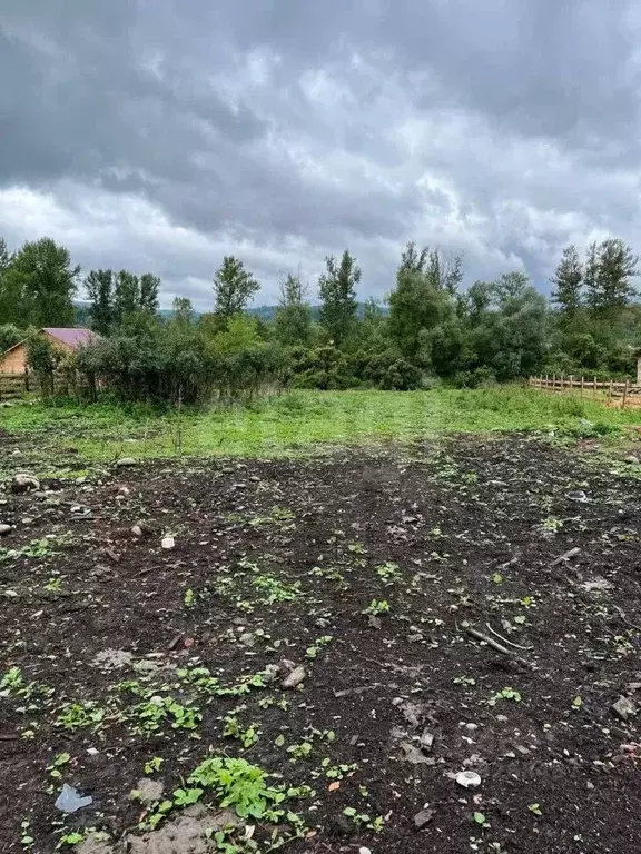 Участок в Алтай, Турочакский район, с. Озеро-Куреево Береговая ул., 31 ... - Фото 1