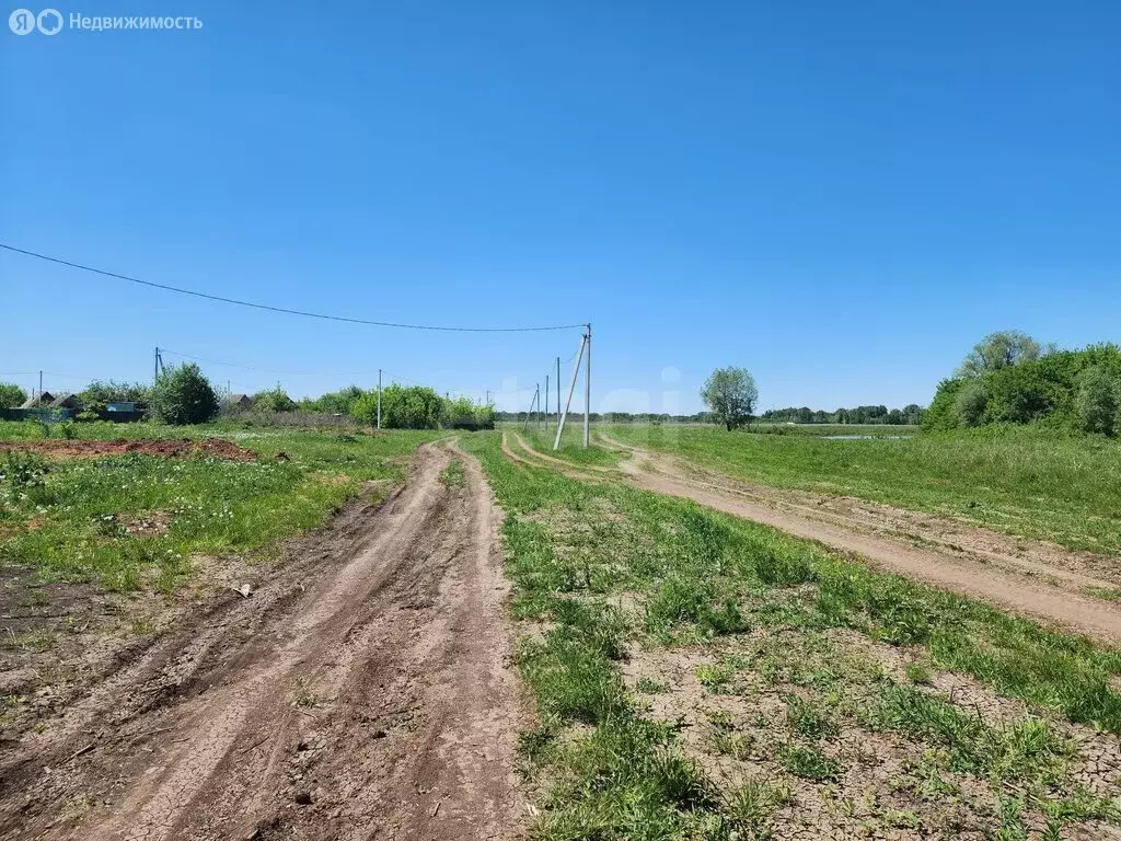 Участок в Наумовский сельсовет, СНТ Майское (6.98 м) - Фото 2
