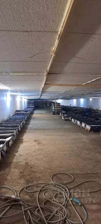 Помещение свободного назначения в Волгоградская область, Городище рп ... - Фото 0