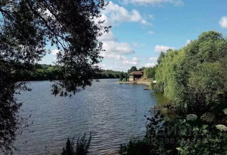 Участок, 6 сот., поселения (ижс) - Фото 1