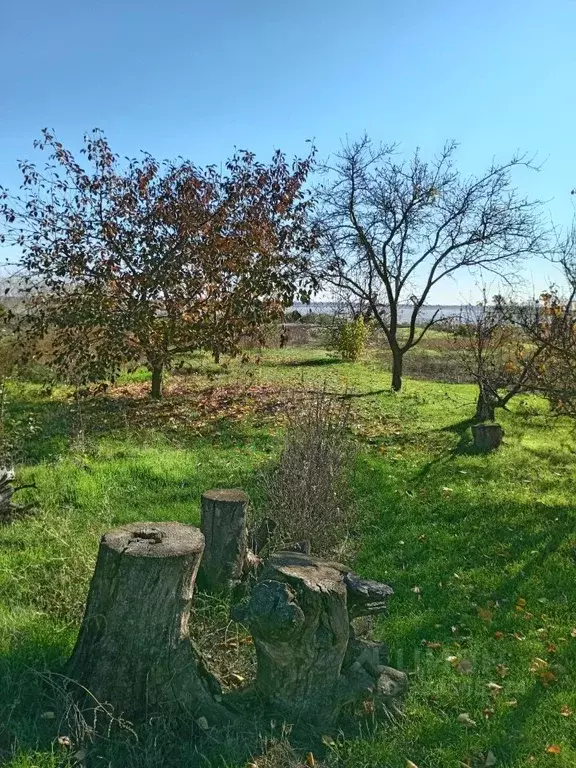 Дом в Ростовская область, Неклиновский район, с. Натальевка ул. ... - Фото 2