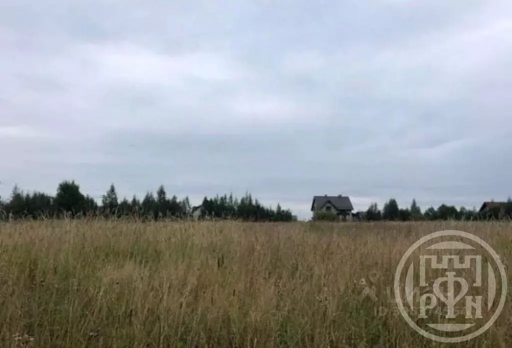 Участок в Ленинградская область, Всеволожский район, Лесколовское ... - Фото 1